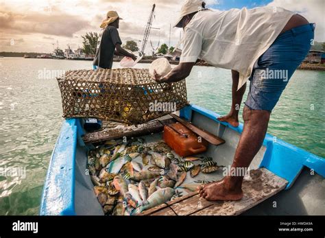 Fishing in The Seychelles .